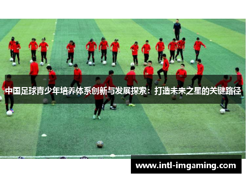 中国足球青少年培养体系创新与发展探索：打造未来之星的关键路径