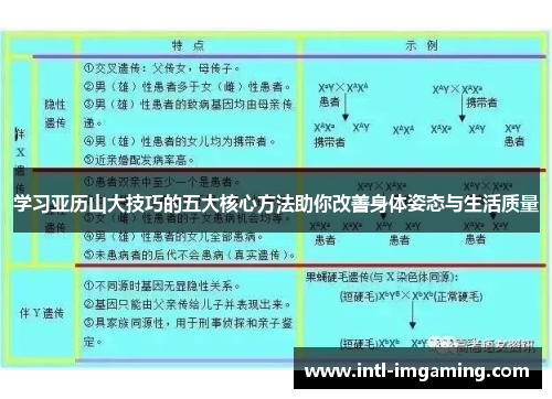 学习亚历山大技巧的五大核心方法助你改善身体姿态与生活质量