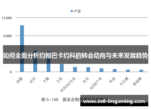 如何全面分析约翰巴卡约科的转会动向与未来发展趋势